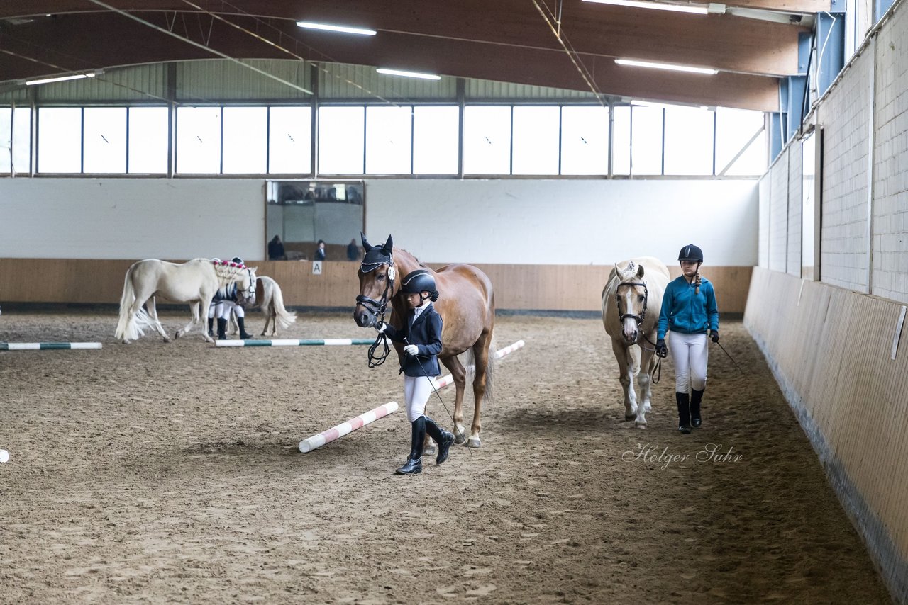 Bild 4 - Pony Akademie Turnier